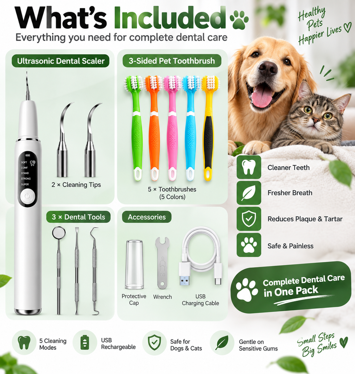Dental Care Pack